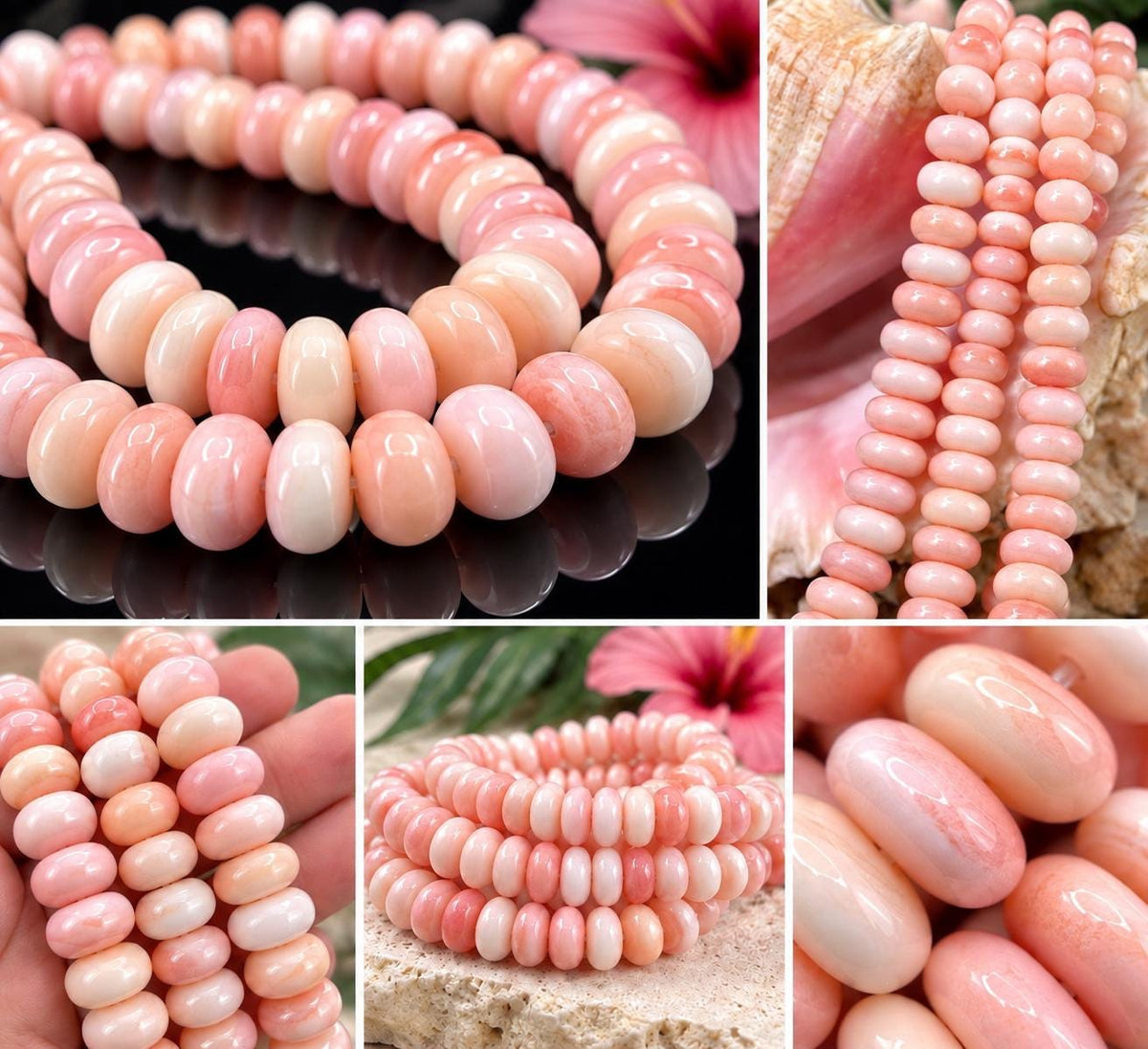 Multiple Shades Queen Conch Shell Beads Bahamas AAA (Cut From Different Part of Shell) Natural Organic-Thickness Smooth Irregular Freeform