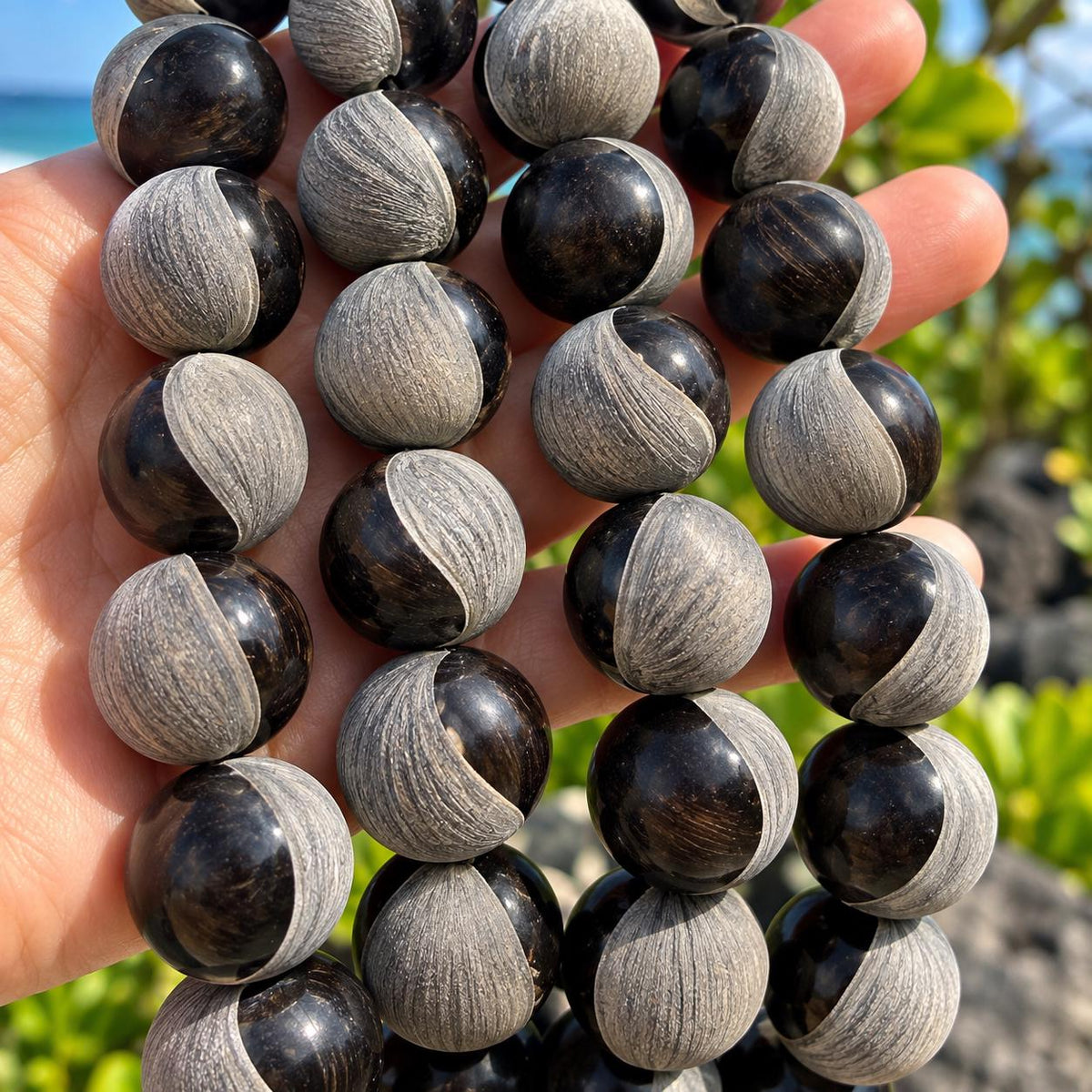 XL Real Buffalo HORN Beads - Matte & Polished - Hand-Carved From Solid Horn Tip - Rare Find Gigantic 20mm Round - 20 Pcs - 15.5 Inch