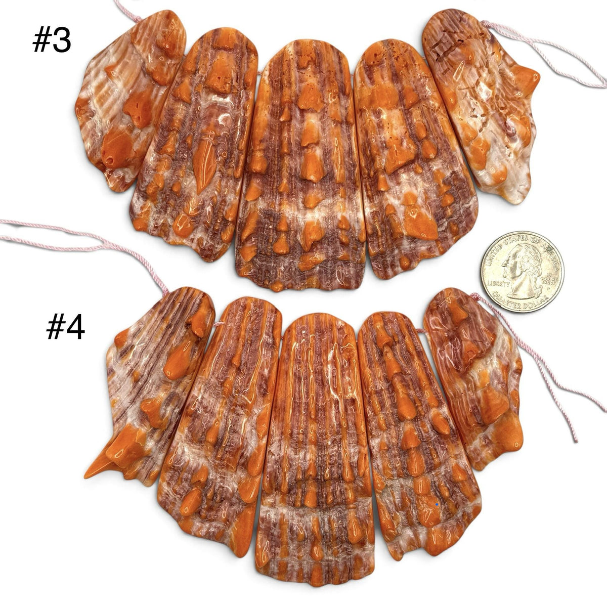 Bundle-5 Pcs Spiny Oyster Shell Beads Pendant Mexico (Cut From One Single Gigantic Shell) One-of-a-Kind Freeform Top-Drilled (D101)
