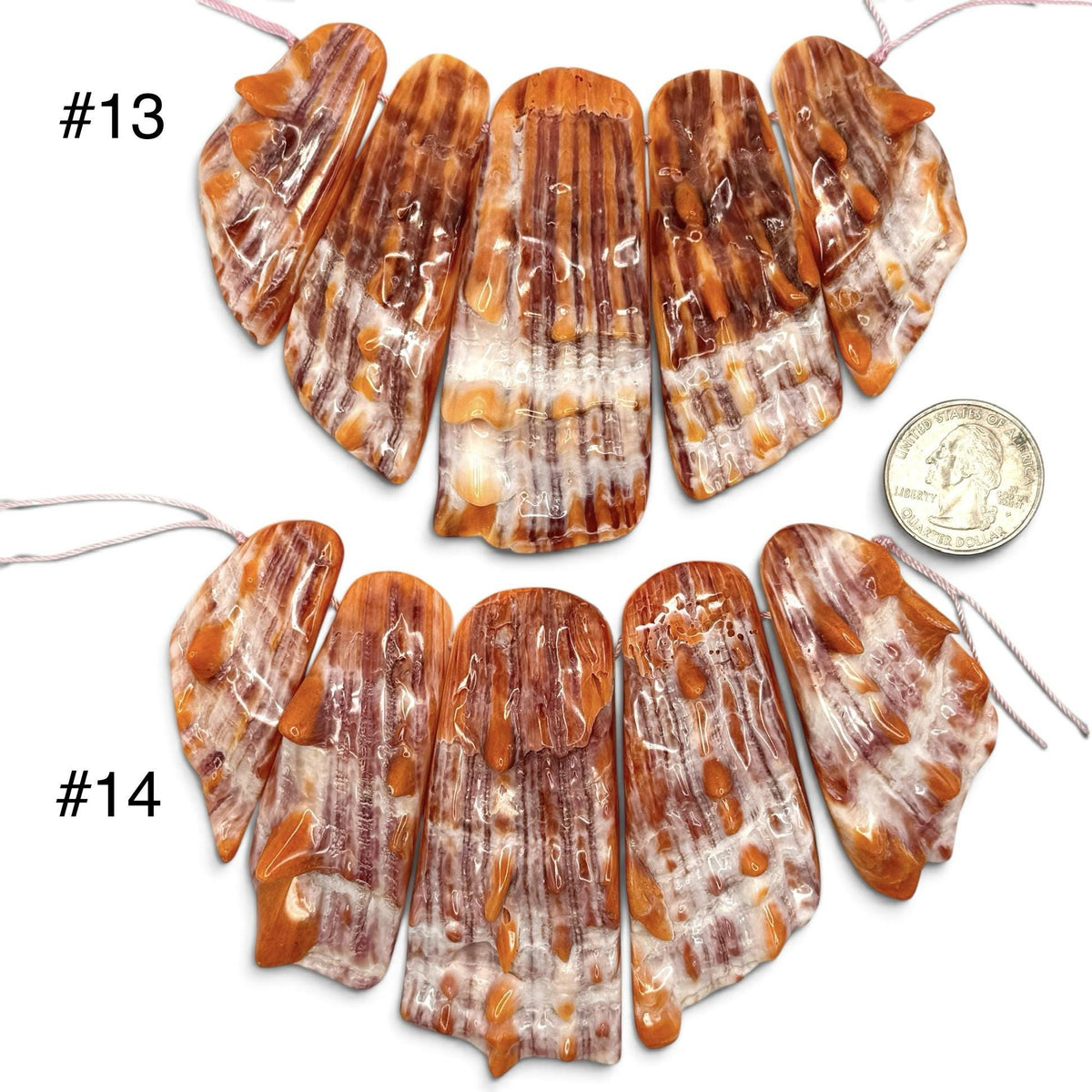 Bundle-5 Pcs Spiny Oyster Shell Beads Pendant Mexico (Cut From One Single Gigantic Shell) One-of-a-Kind Freeform Top-Drilled (D101)