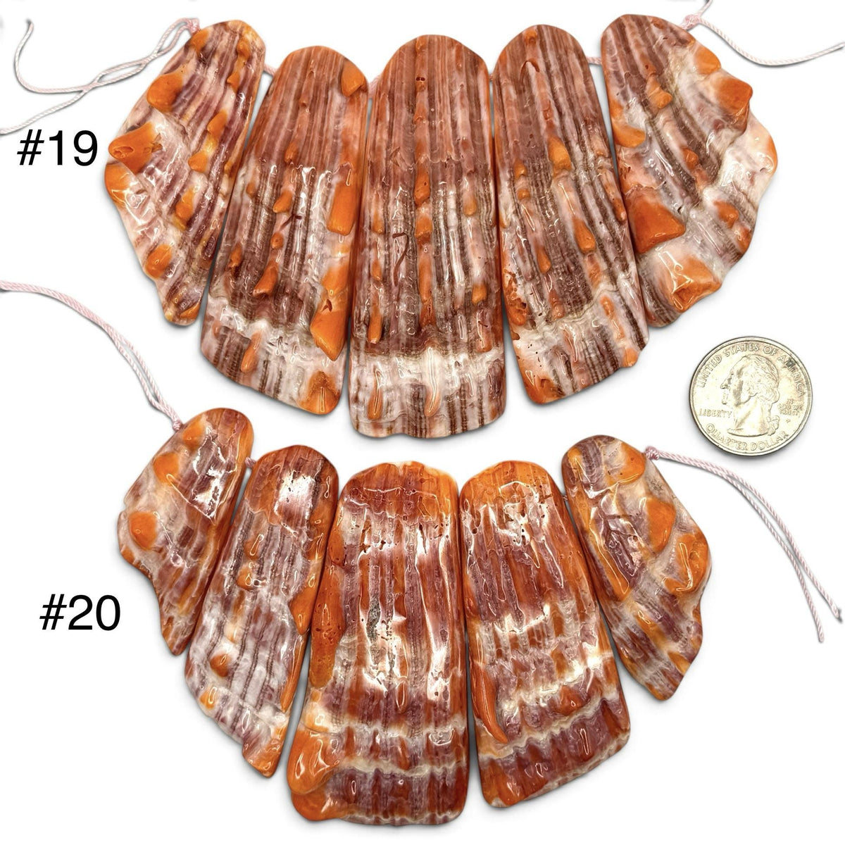 Bundle-5 Pcs Spiny Oyster Shell Beads Pendant Mexico (Cut From One Single Gigantic Shell) One-of-a-Kind Freeform Top-Drilled (D101)
