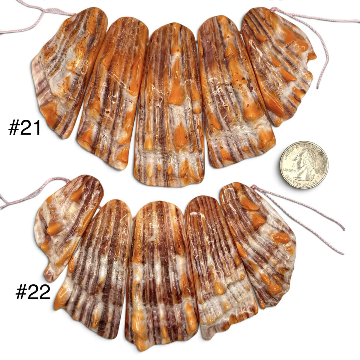 Bundle-5 Pcs Spiny Oyster Shell Beads Pendant Mexico (Cut From One Single Gigantic Shell) One-of-a-Kind Freeform Top-Drilled (D101)