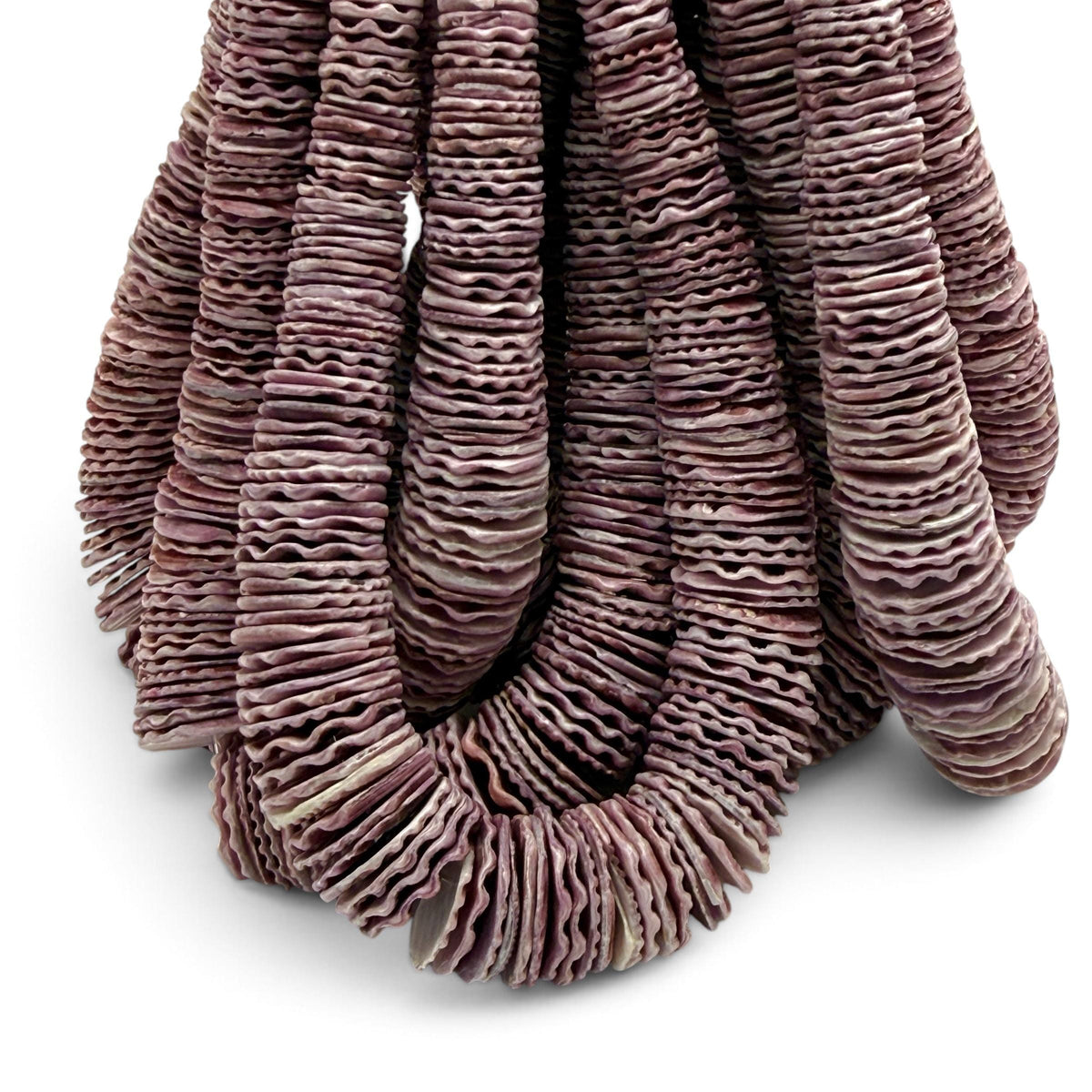 XL Graduated Purple Scallop Shell Beads - Indo Pacific Region - Never Dyed or Color Enhanced - Small Batch Production - Heishi 4-20mm