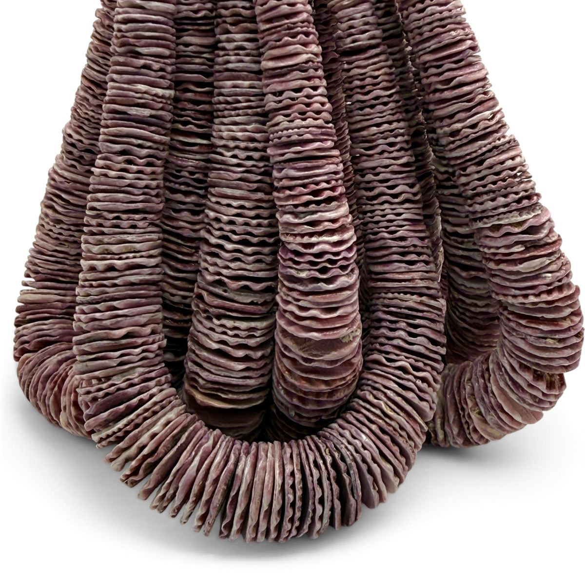 XL Graduated Purple Scallop Shell Beads - Indo Pacific Region - Never Dyed or Color Enhanced - Small Batch Production - Heishi 4-20mm