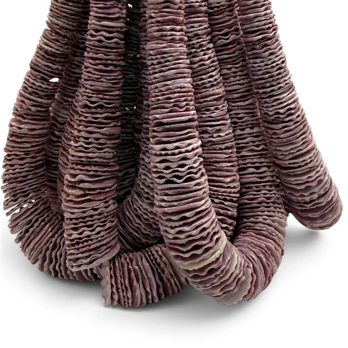 XL Graduated Purple Scallop Shell Beads - Indo Pacific Region - Never Dyed or Color Enhanced - Small Batch Production - Heishi 4-20mm