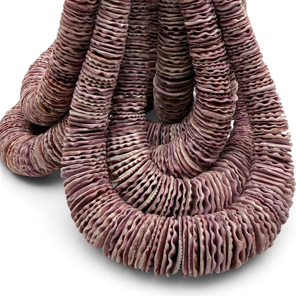 XL Graduated Purple Scallop Shell Beads - Indo Pacific Region - Never Dyed or Color Enhanced - Small Batch Production - Heishi 4-20mm