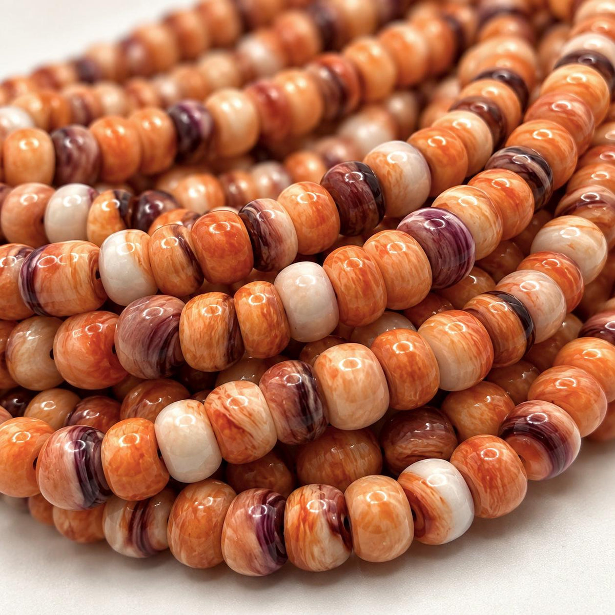 Lion Paw Shell Beads from Mexico - Multi-Shade Orange Purple Cream - Native American Style - Small Batch Production - Smooth Rondelle 6mm