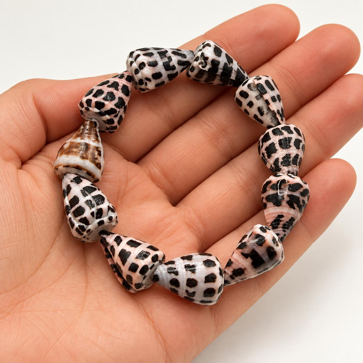HEBREW Cone Shell Beads Stretch Bracelet AAA - Never Dyed or Color Enhanced - Rare Find - Approx. 12X18mm - 7 Inch