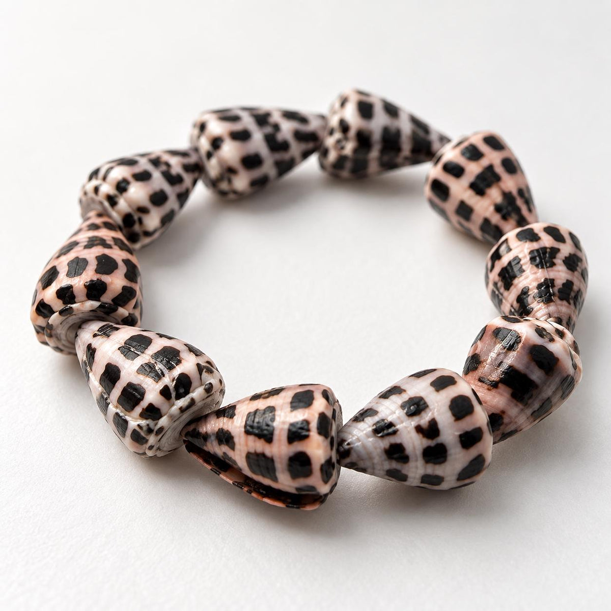 HEBREW Cone Shell Beads Stretch Bracelet AAA - Never Dyed or Color Enhanced - Rare Find - Approx. 12X18mm - 7 Inch