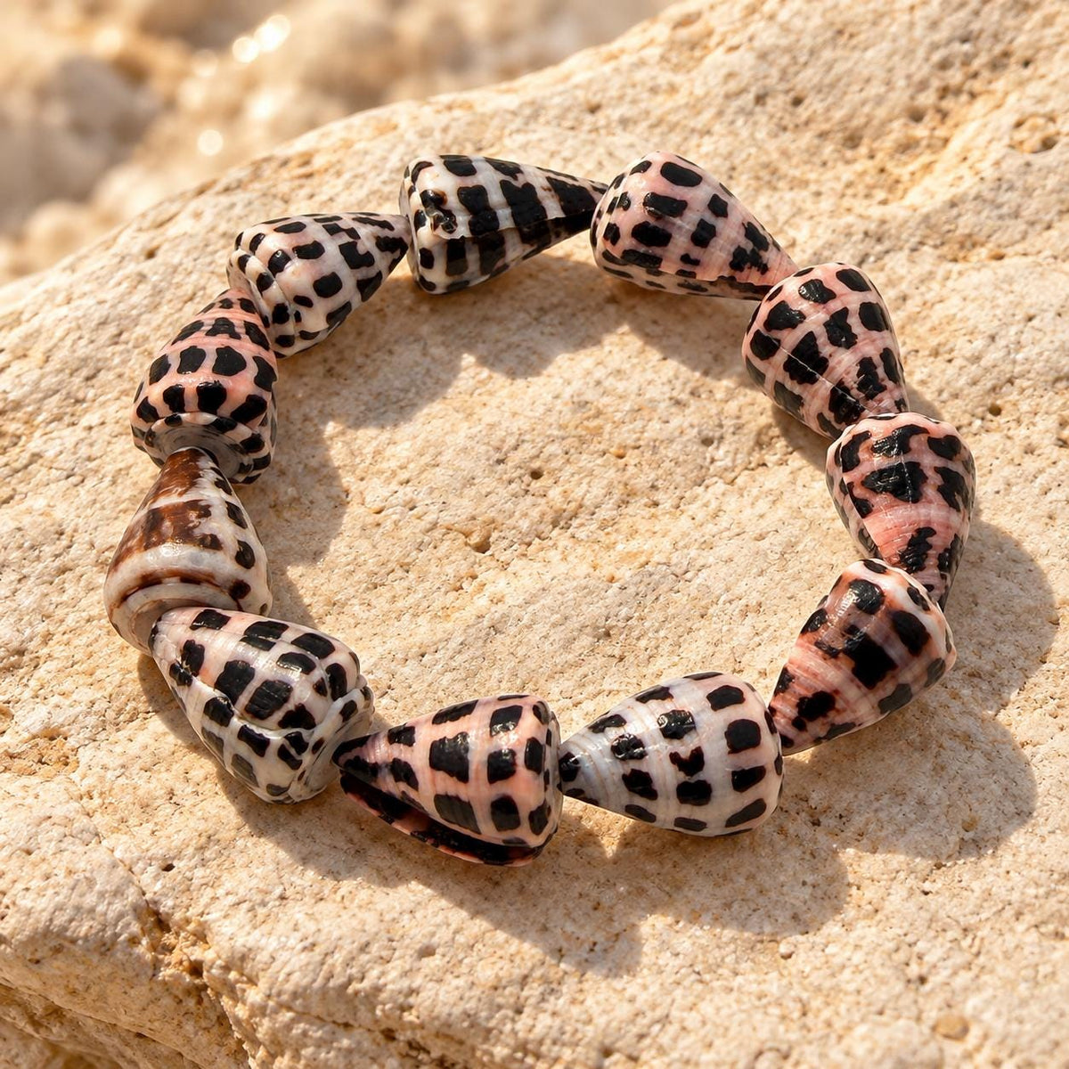 HEBREW Cone Shell Beads Stretch Bracelet AAA - Never Dyed or Color Enhanced - Rare Find - Approx. 12X18mm - 7 Inch