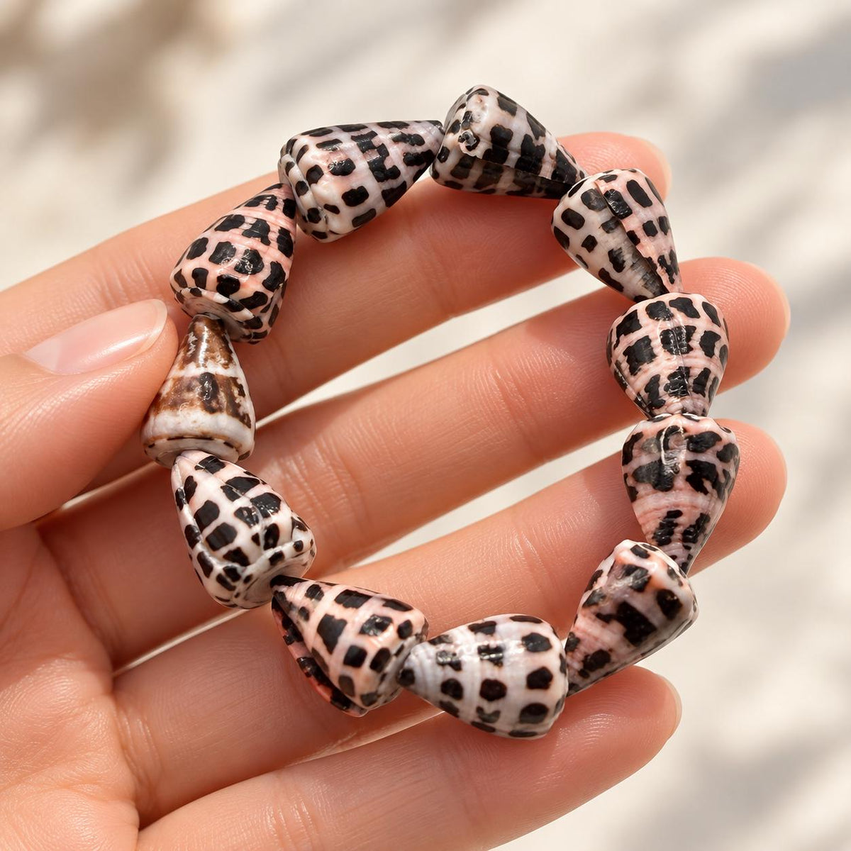 HEBREW Cone Shell Beads Stretch Bracelet AAA - Never Dyed or Color Enhanced - Rare Find - Approx. 12X18mm - 7 Inch