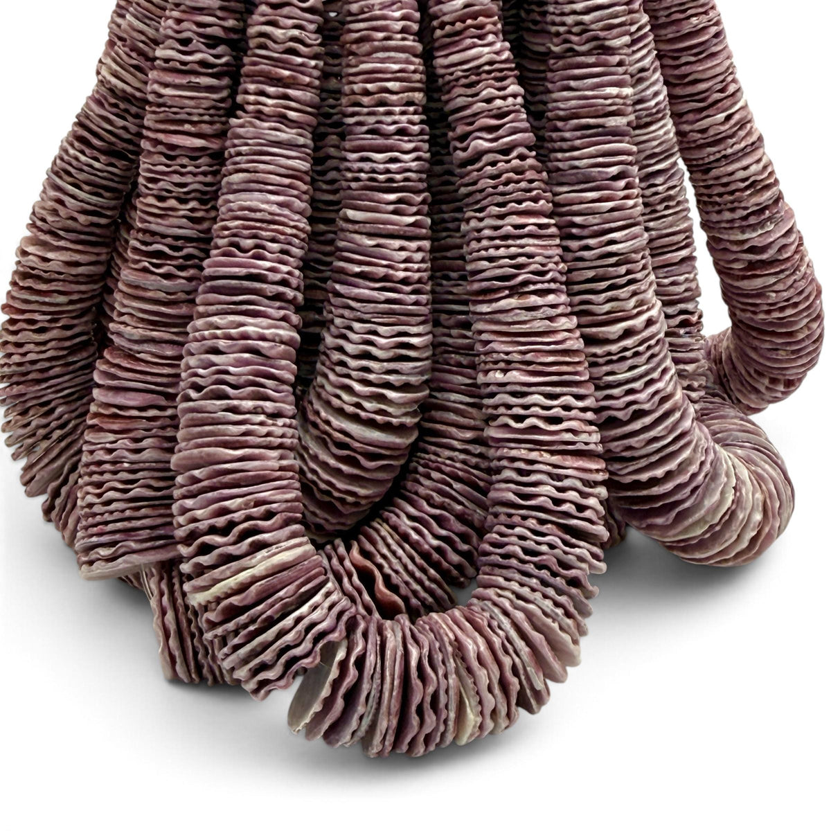 XL Graduated Purple Scallop Shell Beads - Indo Pacific Region - Never Dyed or Color Enhanced - Small Batch Production - Heishi 4-20mm