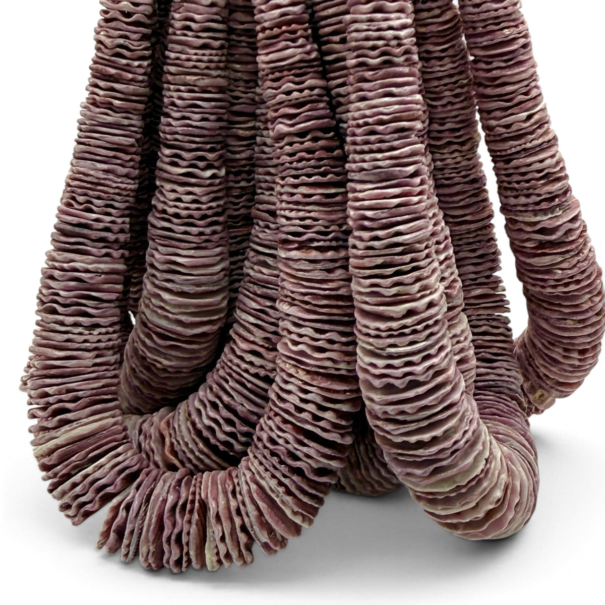 XL Graduated Purple Scallop Shell Beads - Indo Pacific Region - Never Dyed or Color Enhanced - Small Batch Production - Heishi 4-20mm