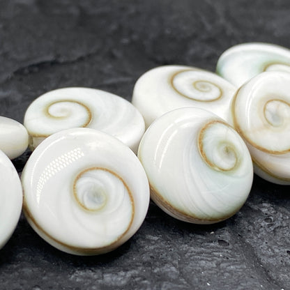 Pearly-White Indonesian Shiva Eye Shell Beads (Doublet- Two Shells in One Bead) Chakra Yin-Yang Double-Energy DIY Jewelry Making Smooth Coin Shape
